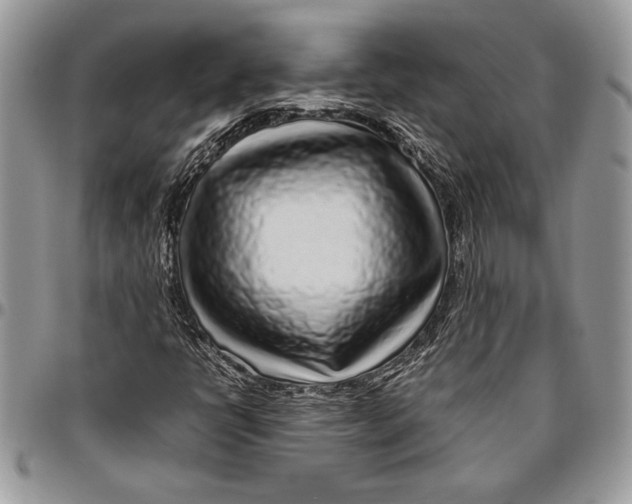 X0000096421398200802141622