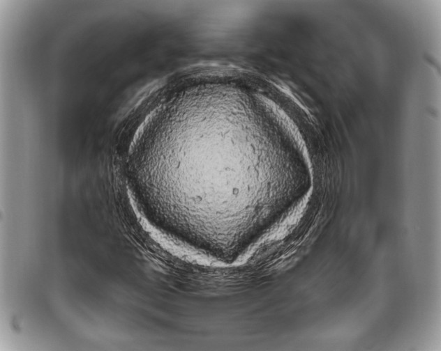 X0000096421399200802141622