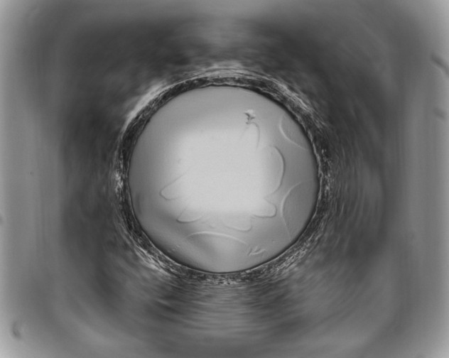 X0000096421400200802141623