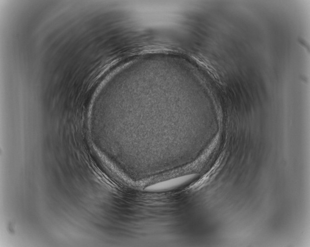 X0000096421401200802141623