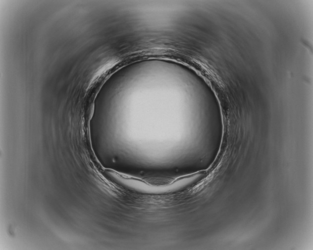 X0000096421402200802141623