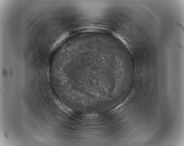 X0000096421403200802141623