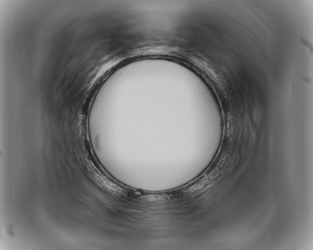 X0000096421404200802141623