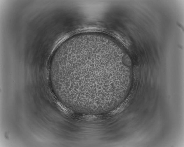 X0000096421405200802141623