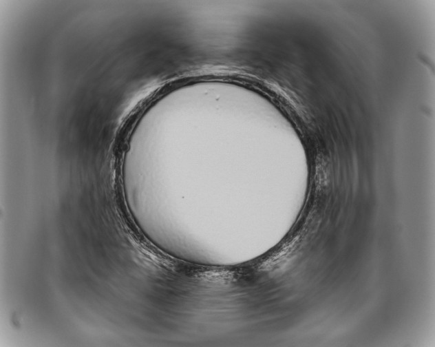 X0000096421406200802141623