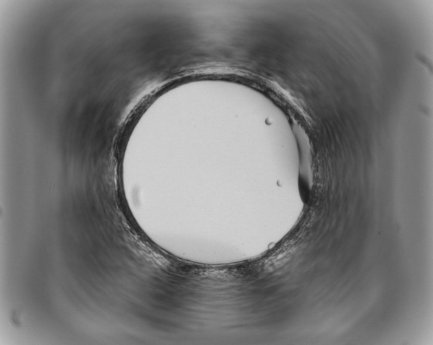 X0000096421408200802141623