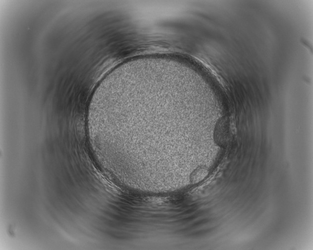 X0000096421409200802141623