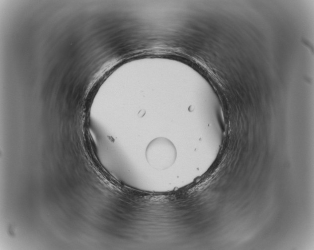 X0000096421410200802141623