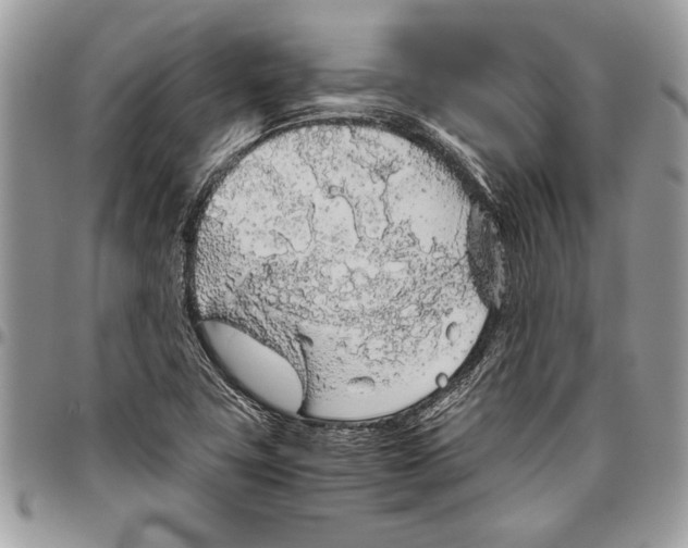 X0000096421411200802141623