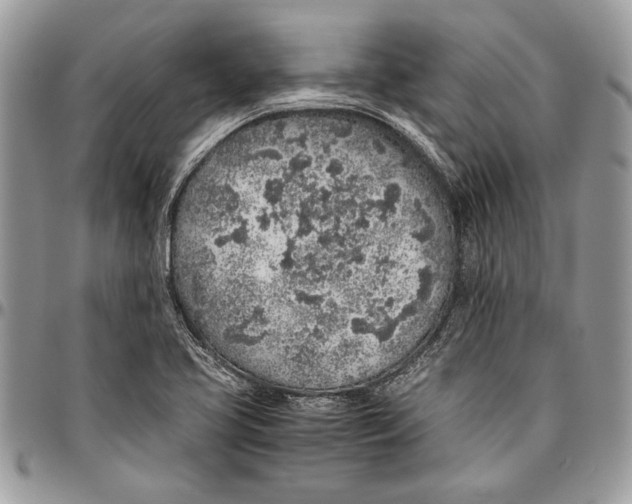 X0000096421413200802141623