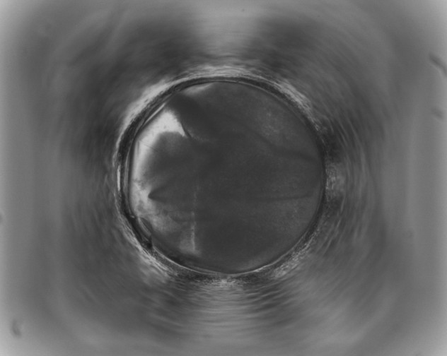 X0000096421414200802141623