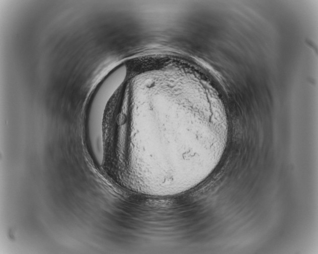 X0000096421415200802141623