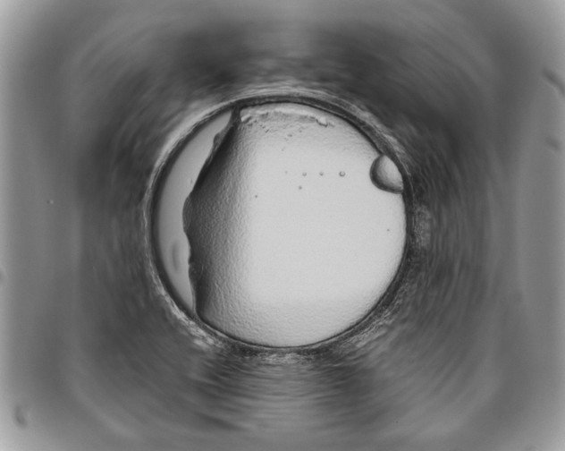 X0000096421416200802141623