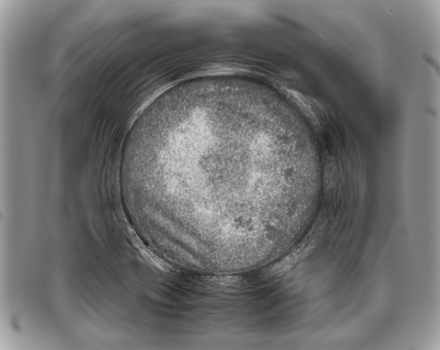 X0000096421417200802141623