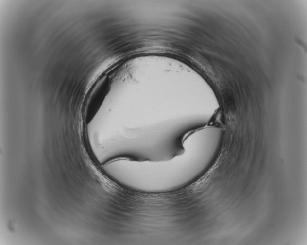 X0000096421418200802141623