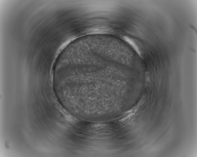 X0000096421419200802141623