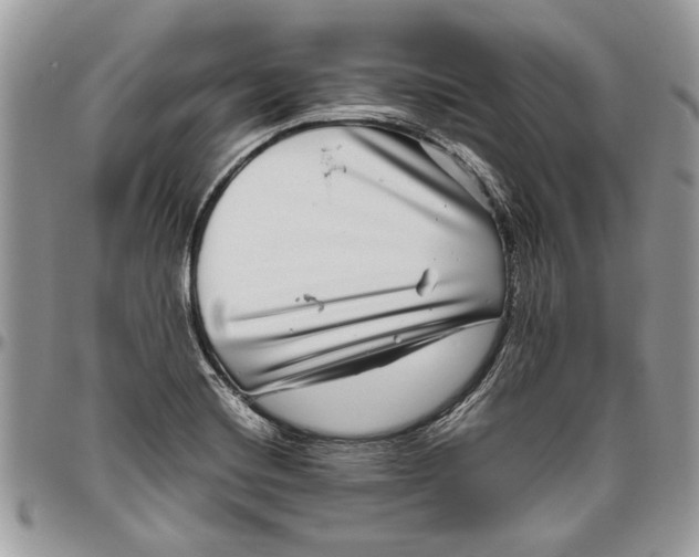 X0000096421420200802141623