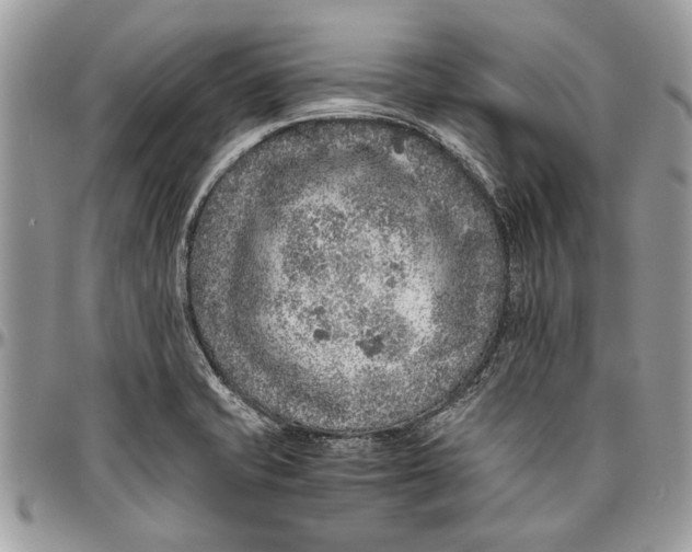 X0000096421421200802141623