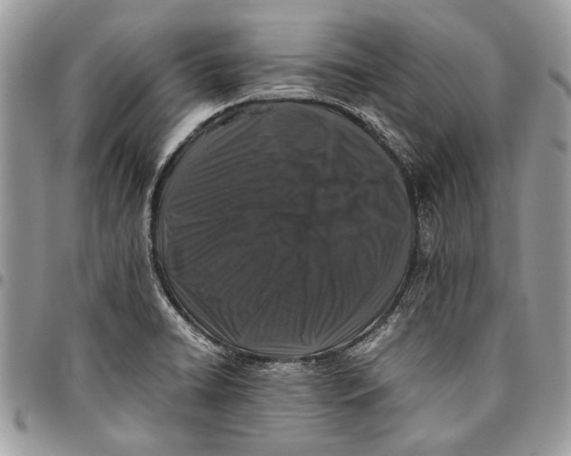 X0000096421422200802141623