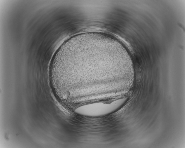 X0000096421423200802141623