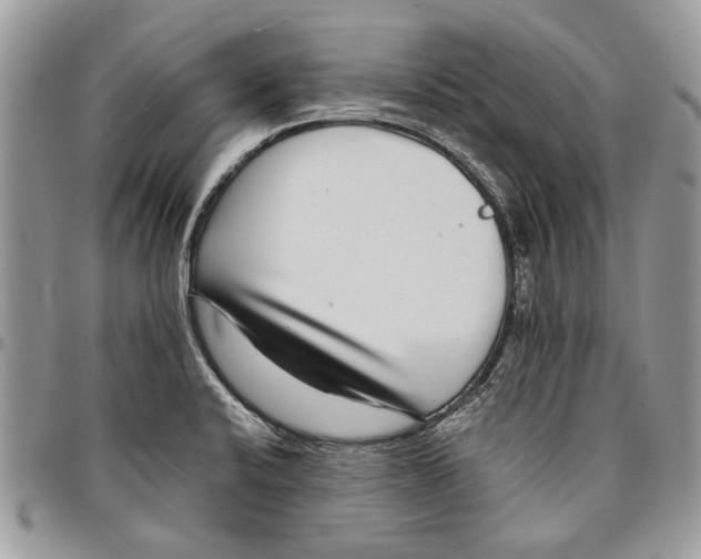 X0000096421424200802141623