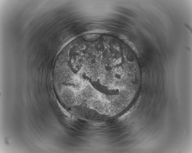 X0000096421425200802141623