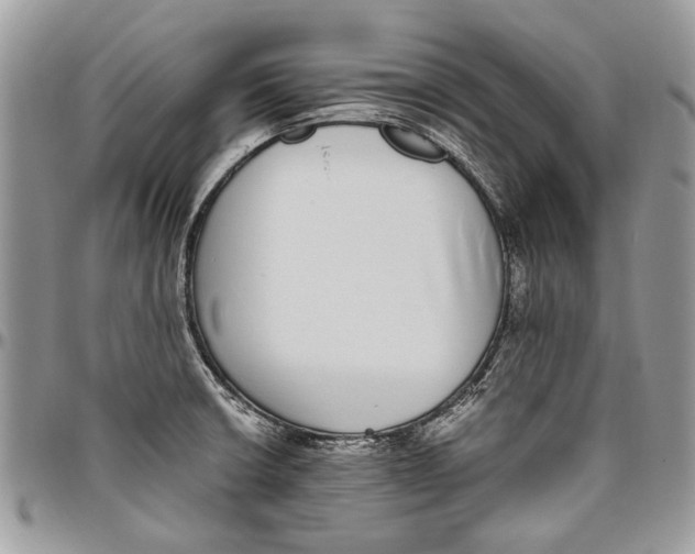 X0000096421426200802141623