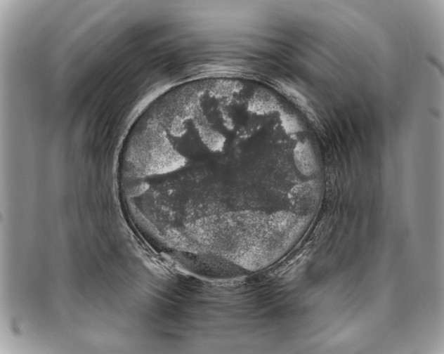 X0000096421427200802141623