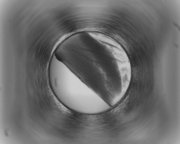 X0000096421428200802141623