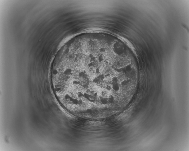 X0000096421429200802141623