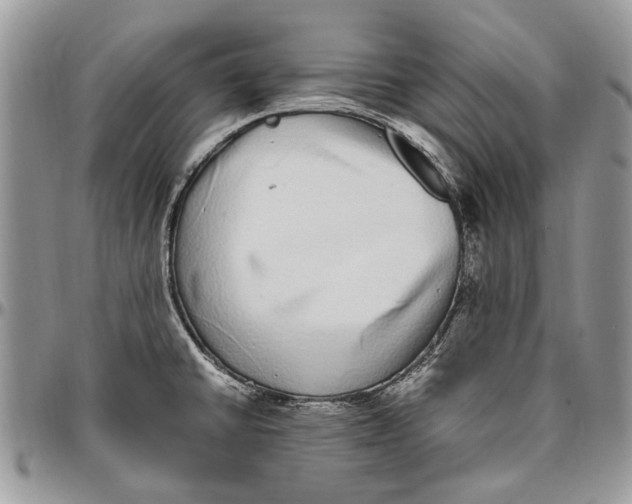 X0000096421430200802141623