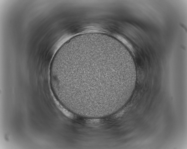 X0000096421431200802141623