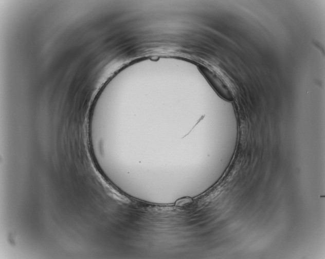 X0000096421432200802141623