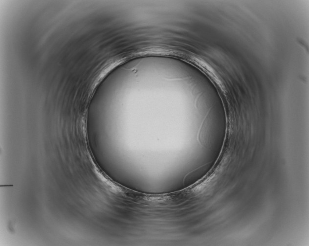 X0000096421433200802141623