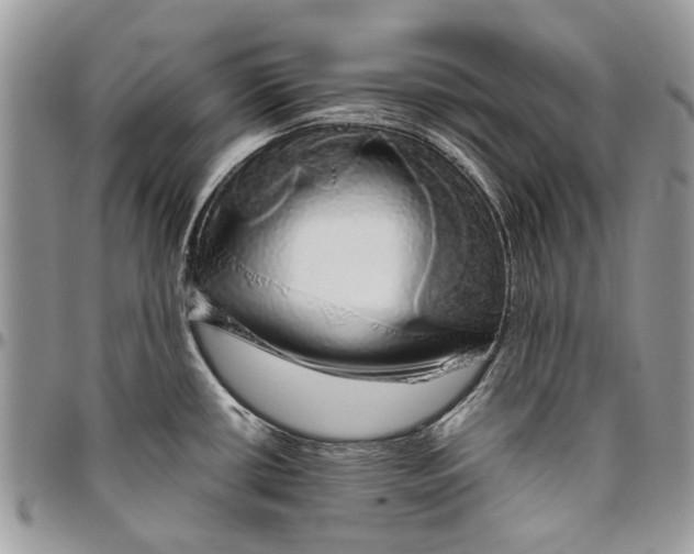 X0000096421434200802141623