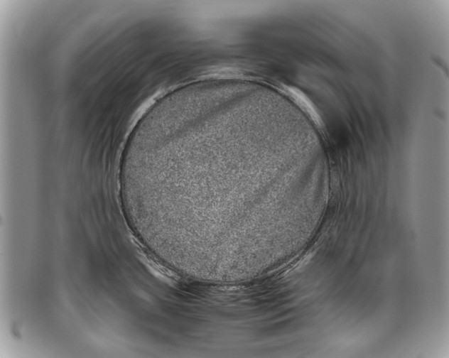 X0000096421435200802141623