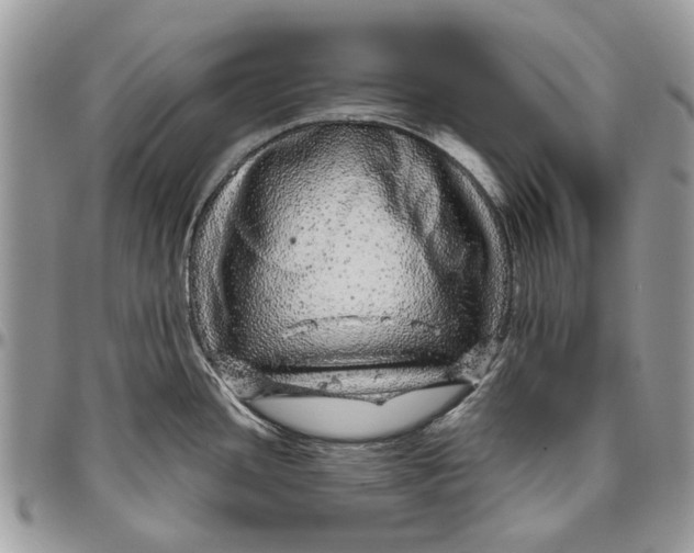 X0000096421436200802141623