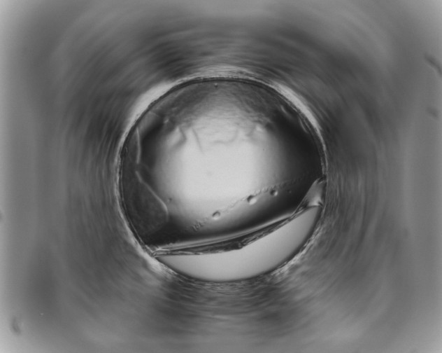 X0000096421437200802141623