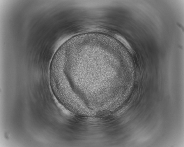 X0000096421439200802141623