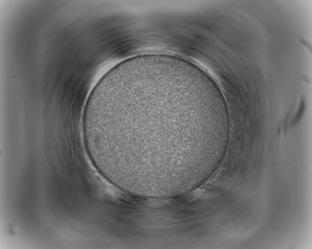 X0000096421440200802141623