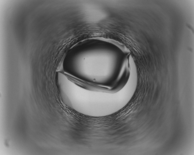 X0000096421441200802141622