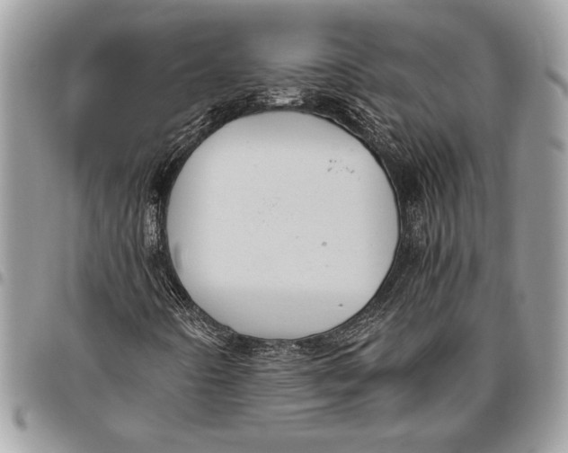 X0000096421442200802141622