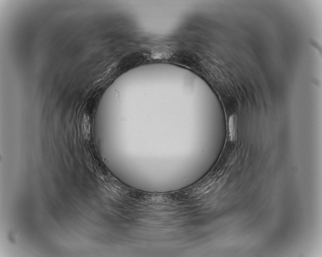 X0000096421443200802141622