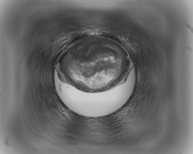 X0000096421444200802141622