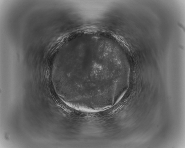 X0000096421445200802141622