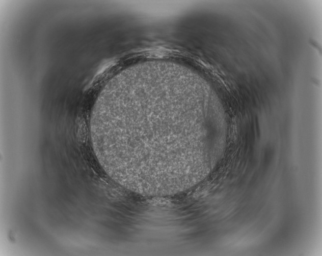 X0000096421446200802141622