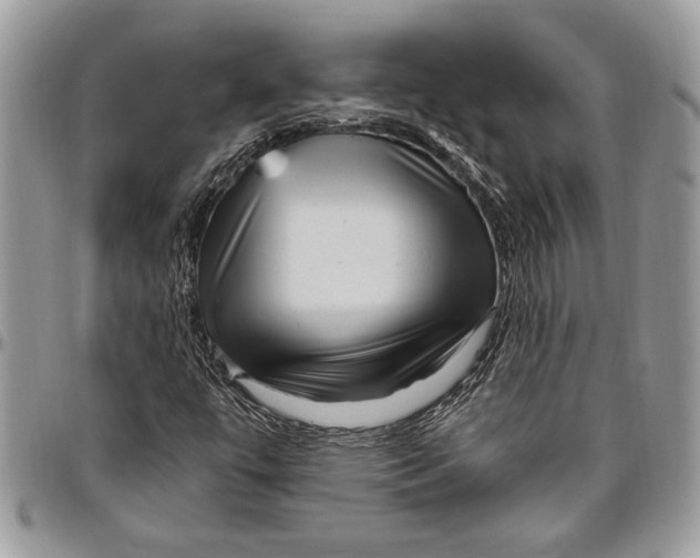 X0000096421447200802141622