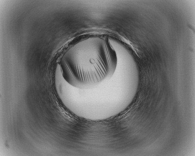 X0000096421448200802141622