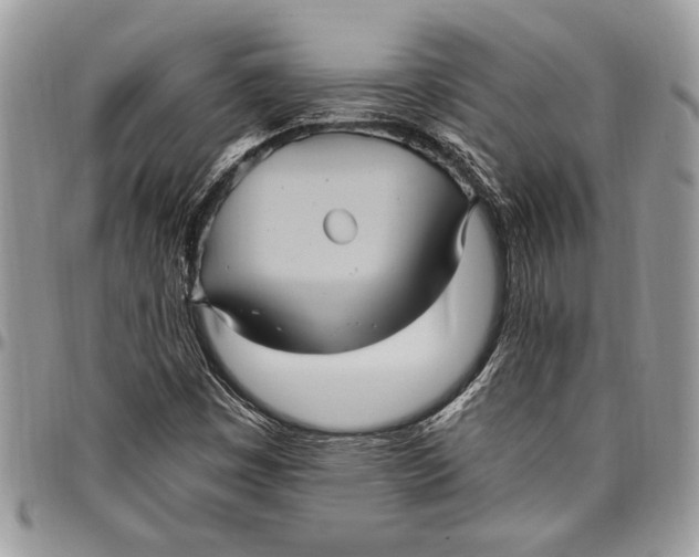 X0000096421449200802141622