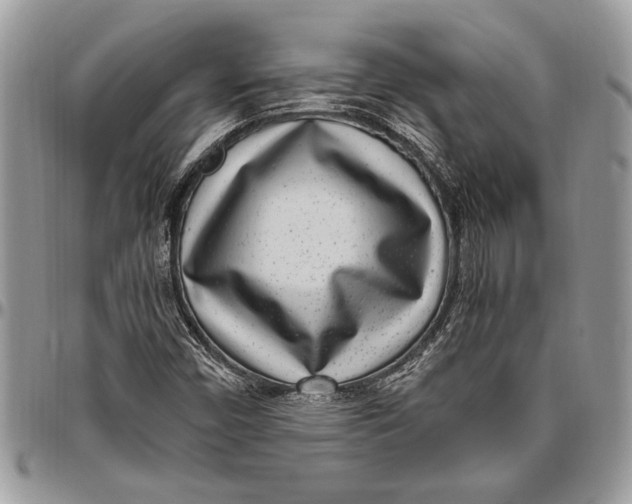 X0000096421450200802141622